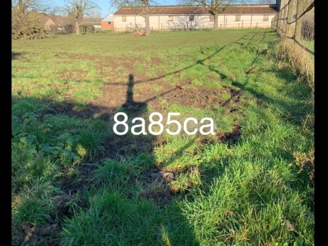 3426abafd2694ae38b345da8ae3f7d7f thumbnail