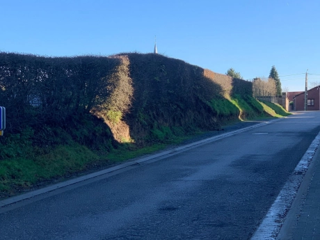 9c621a4e5e374651815329114b50fff3 thumbnail