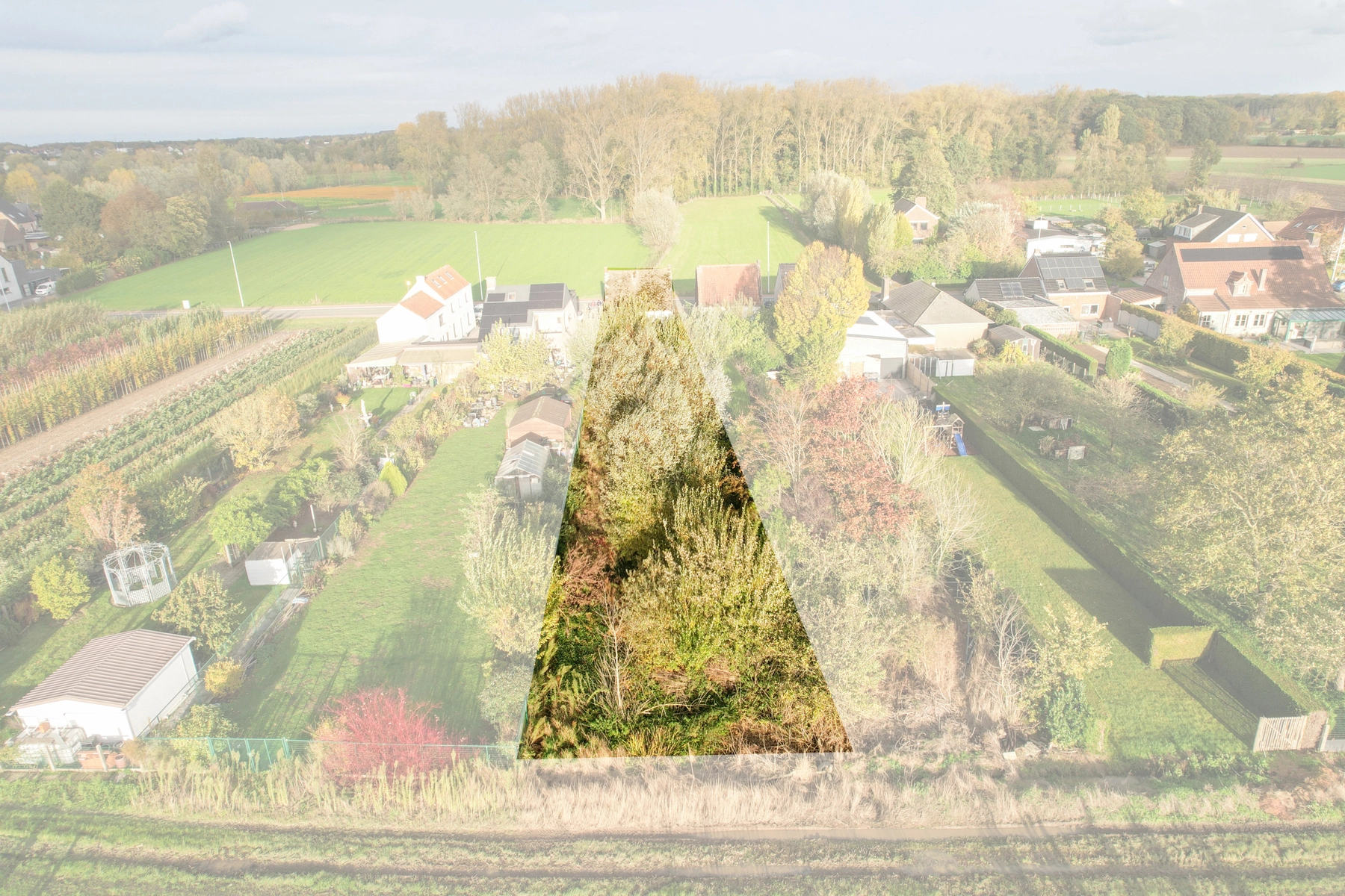 bd673913867e43e3a3068f97b0b5fc20 photo