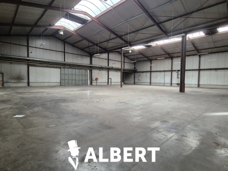 1653e20b2ef44ab2b3b10ddcfd61d663 thumbnail