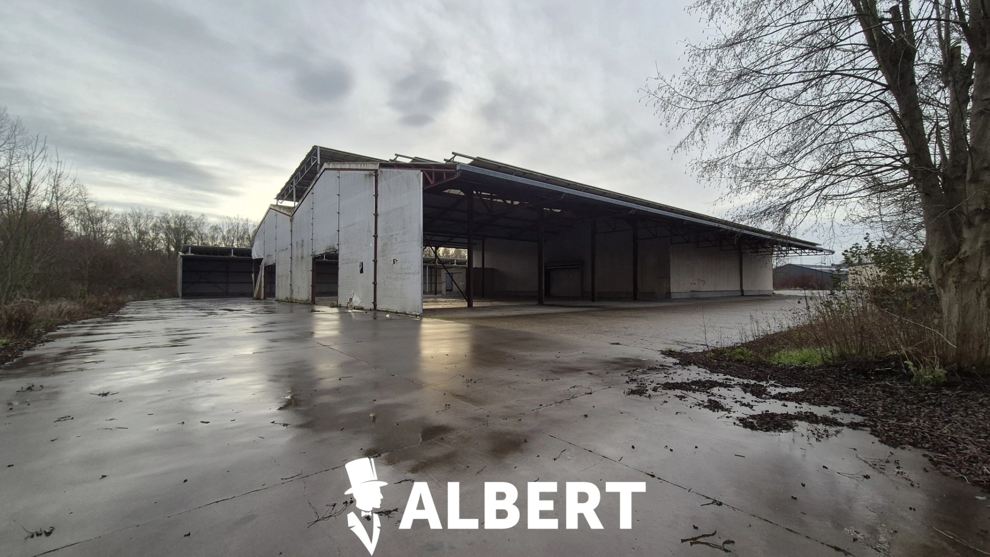 6c76958e03ff4b14b94a0ac575731c8c photo