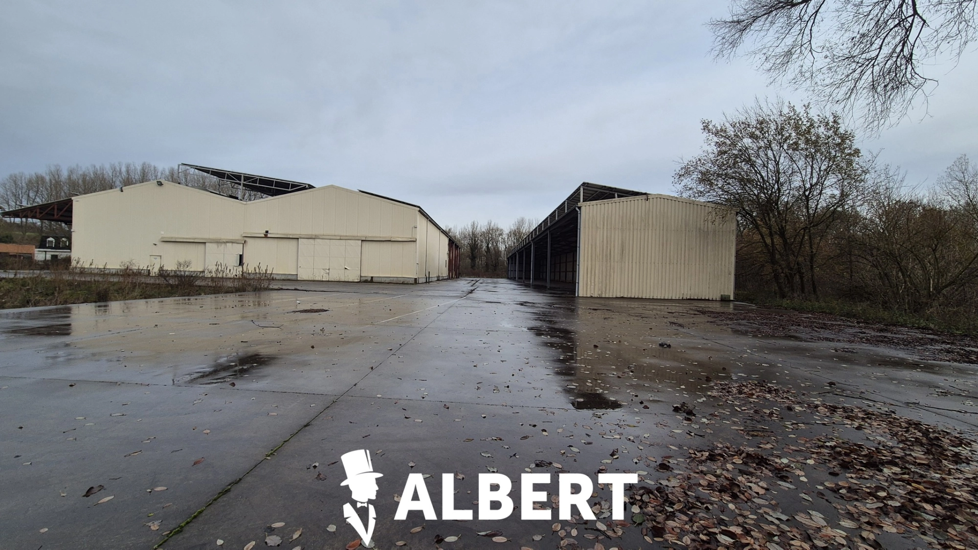 862e7fc34a8f47f19ba0cf677e11cd85 photo