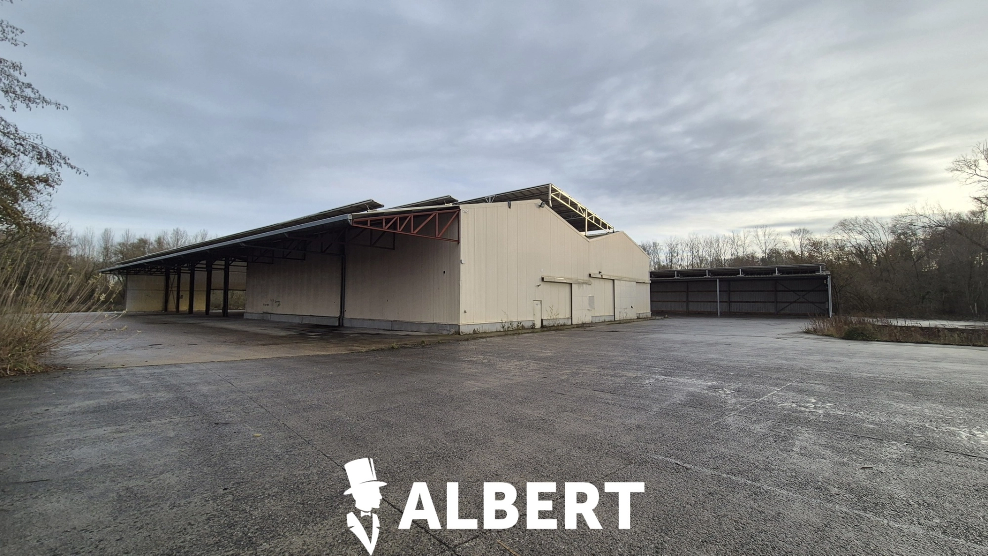 95edcd4a075044329eaebece3731fffd photo