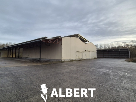 95edcd4a075044329eaebece3731fffd thumbnail