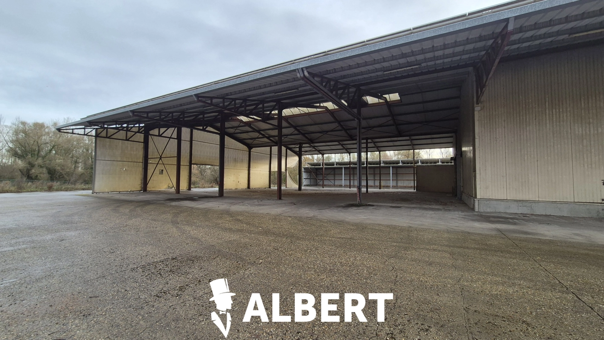 c2590c512f65429eadafe4d070659822 photo