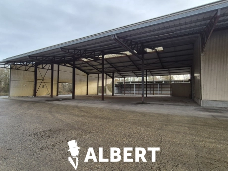 c2590c512f65429eadafe4d070659822 thumbnail