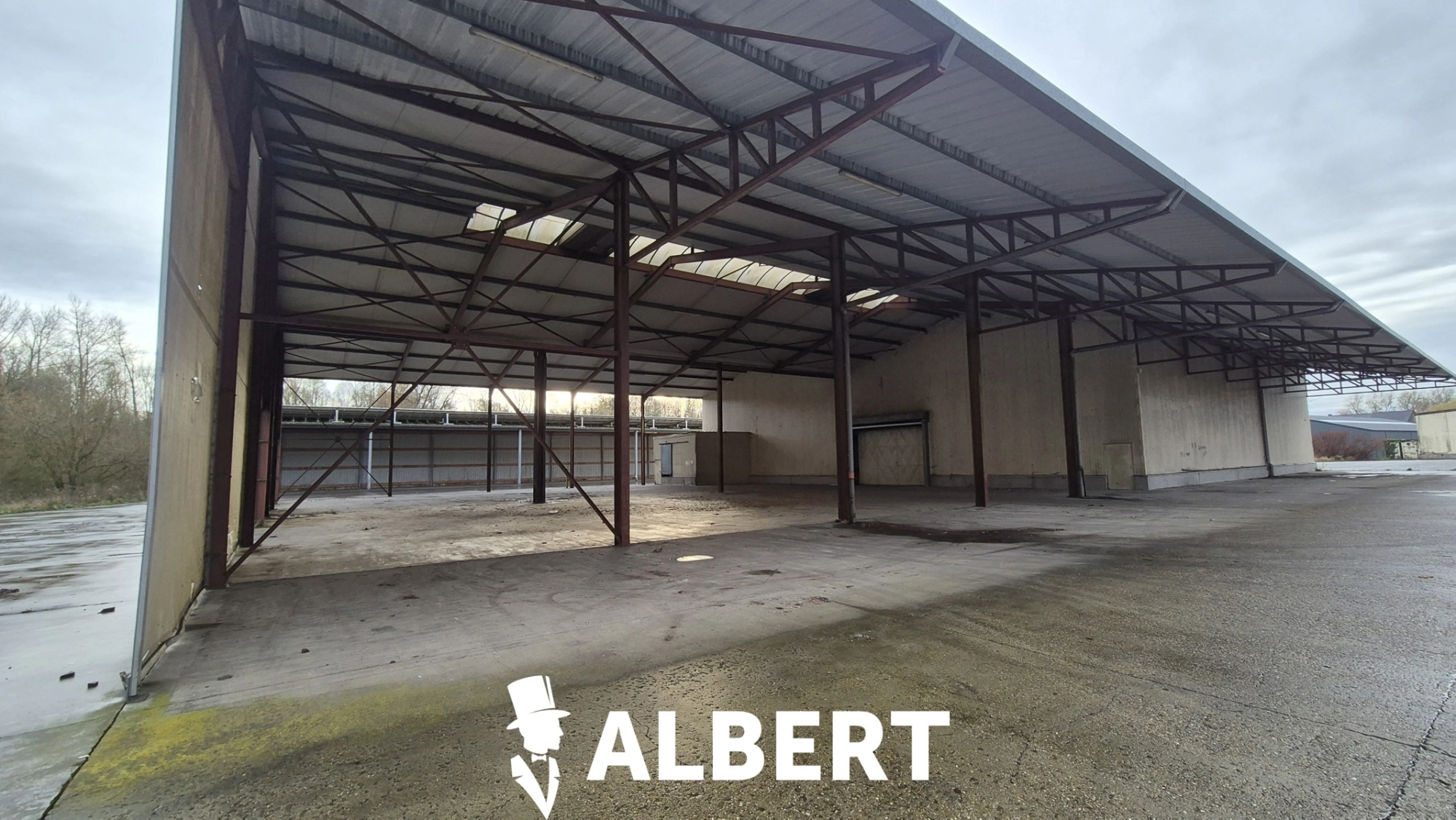 d52a7011496c4351973b80525e1a204b photo