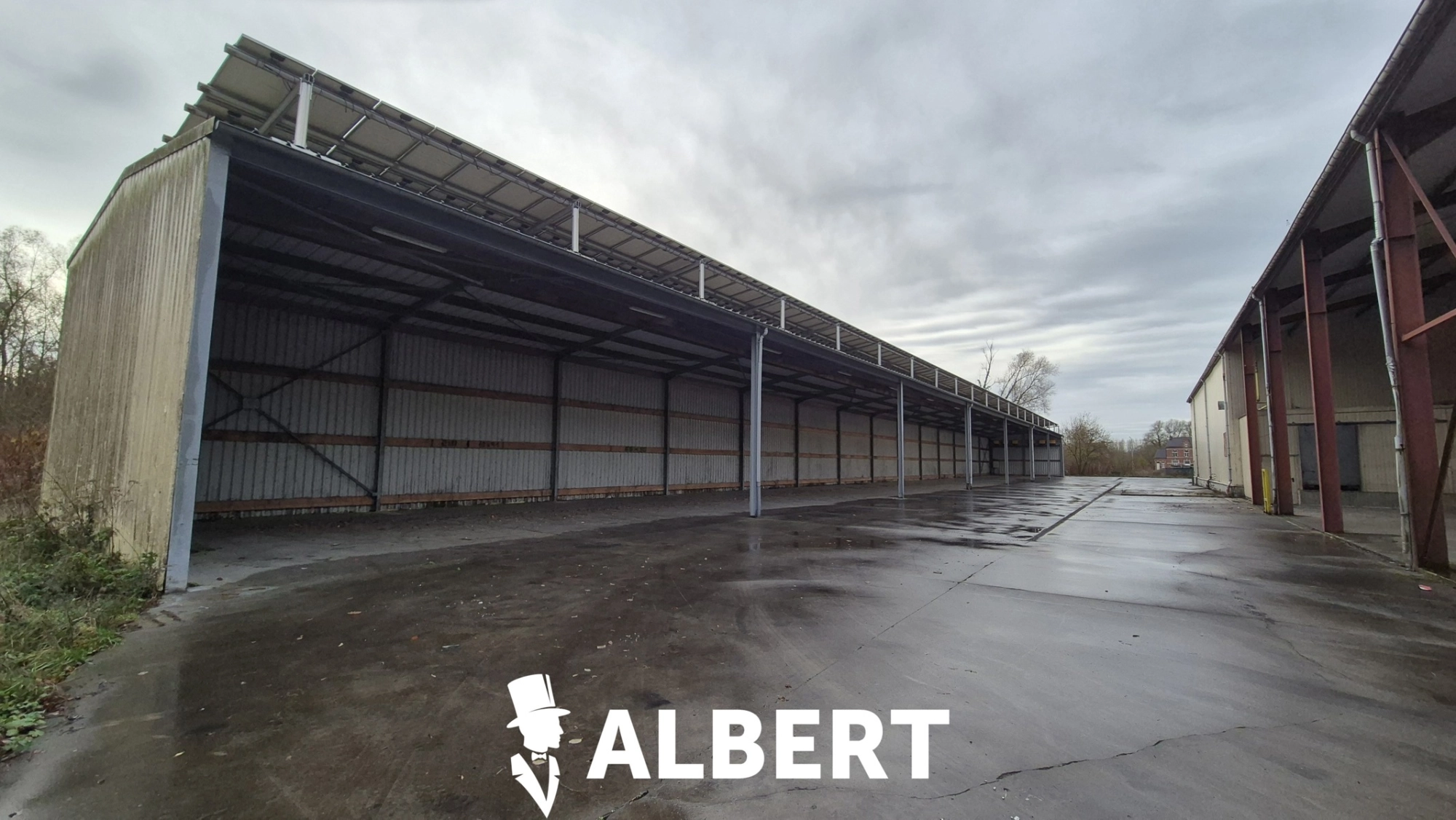 dbadf75b6c3e42dc9a19e6bac30043e5 photo