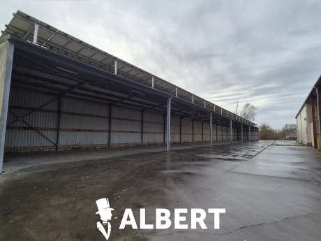 dbadf75b6c3e42dc9a19e6bac30043e5 thumbnail