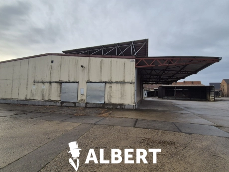 1805ce2775714eda96e9c7e4f5f9e953 thumbnail