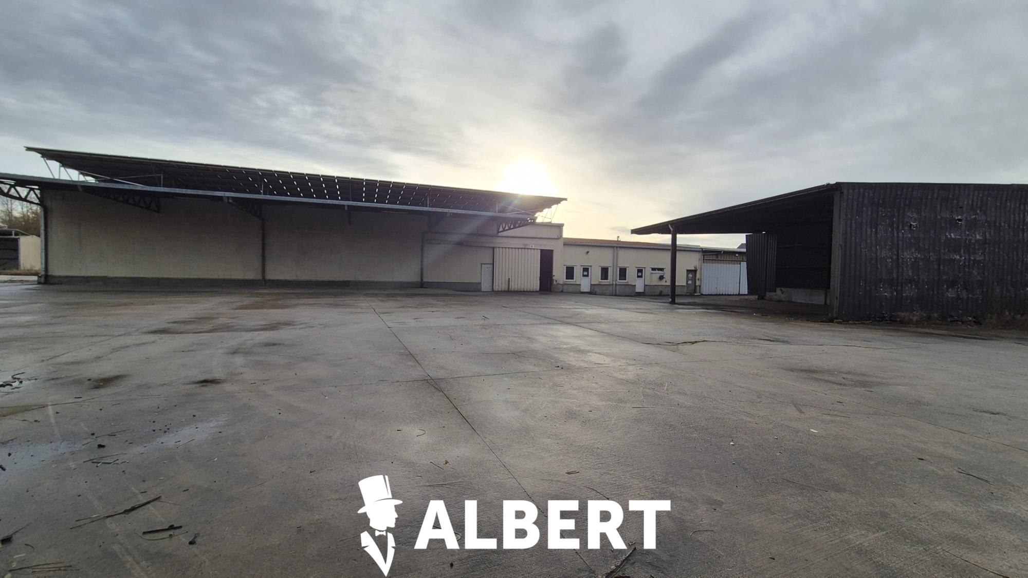 53961776dd124711a9a17e1c8da9613d photo