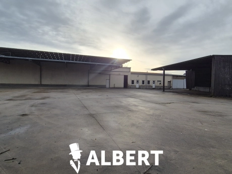 53961776dd124711a9a17e1c8da9613d thumbnail