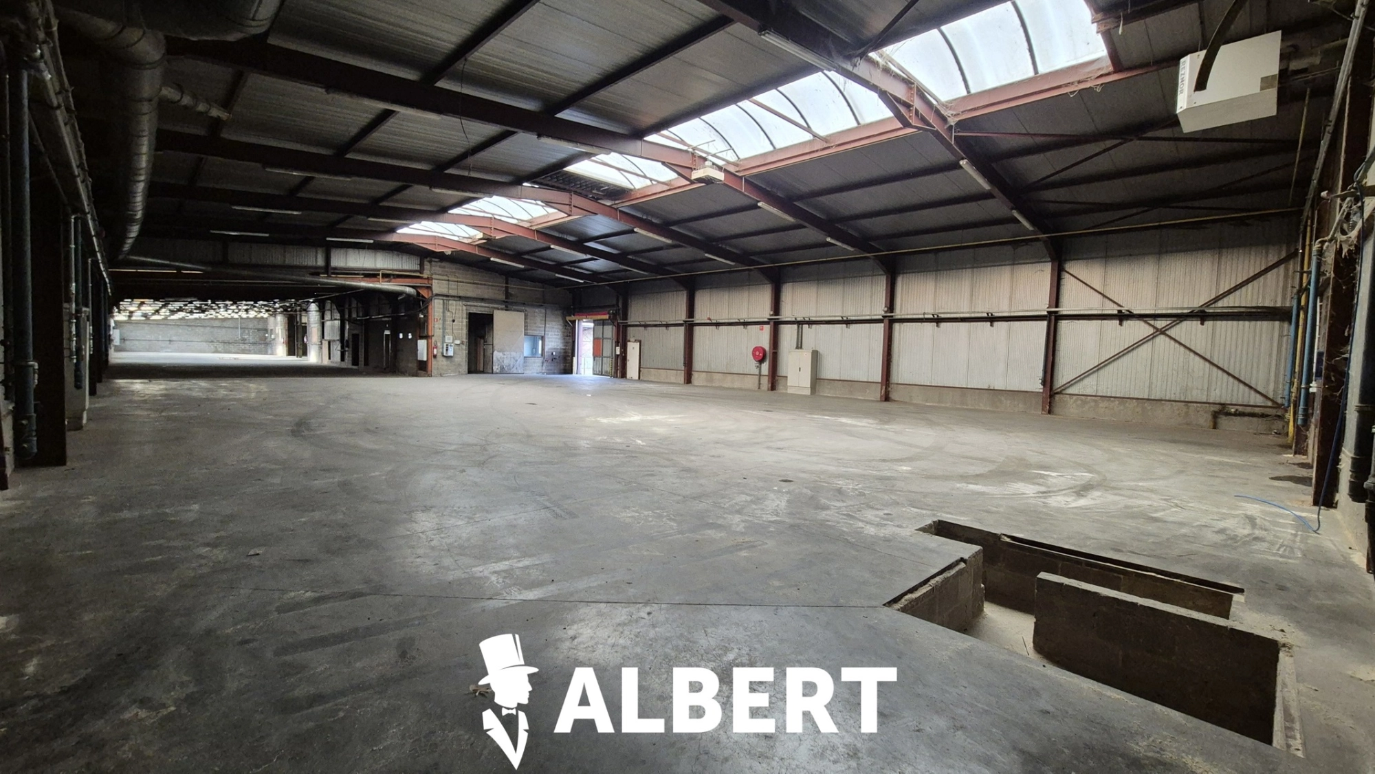 dbdebfd28cc94c1bbfc2c1d0ec1ad6f8 photo