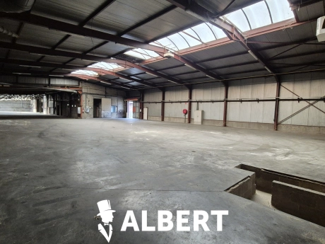 dbdebfd28cc94c1bbfc2c1d0ec1ad6f8 thumbnail