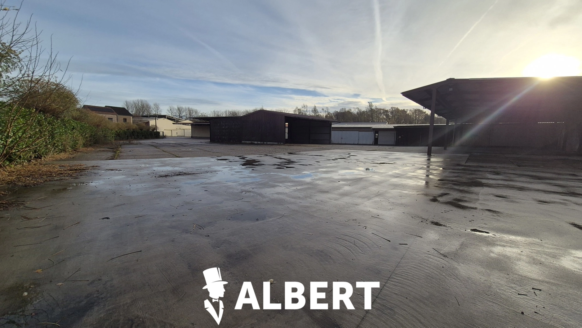 5f03a14d22b34cdcb050256cea54b1f9 photo