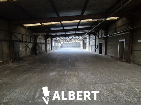 5f20d13ea18047809ed3927bd1e6982c thumbnail