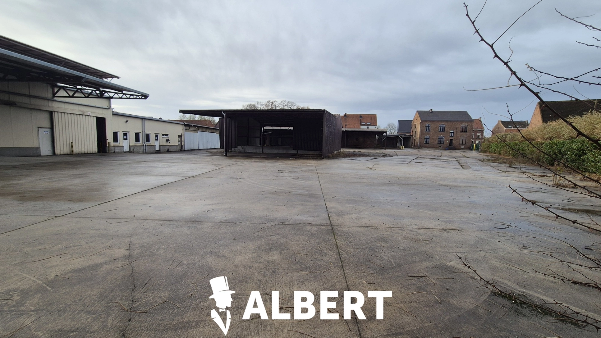 9701a617477c4bfdacbe5ee490de8b87 photo