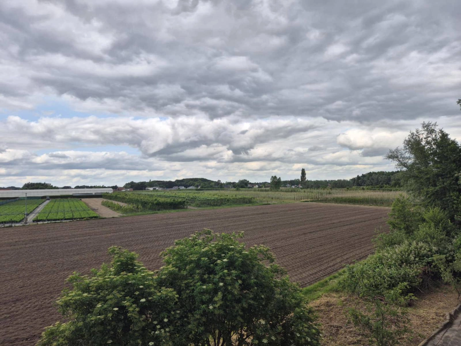 5bb49106780348b39fa6eb5bcd72e786 photo