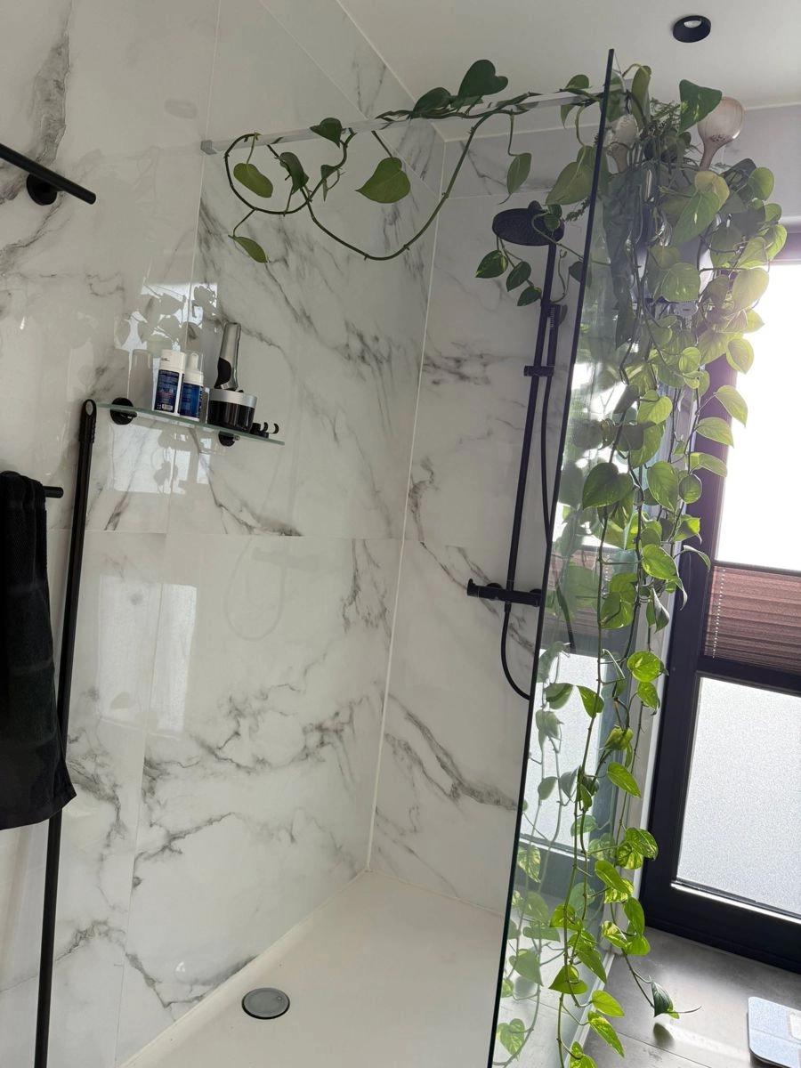 8c8ecff6a98e499f81351ec58a736c78 photo