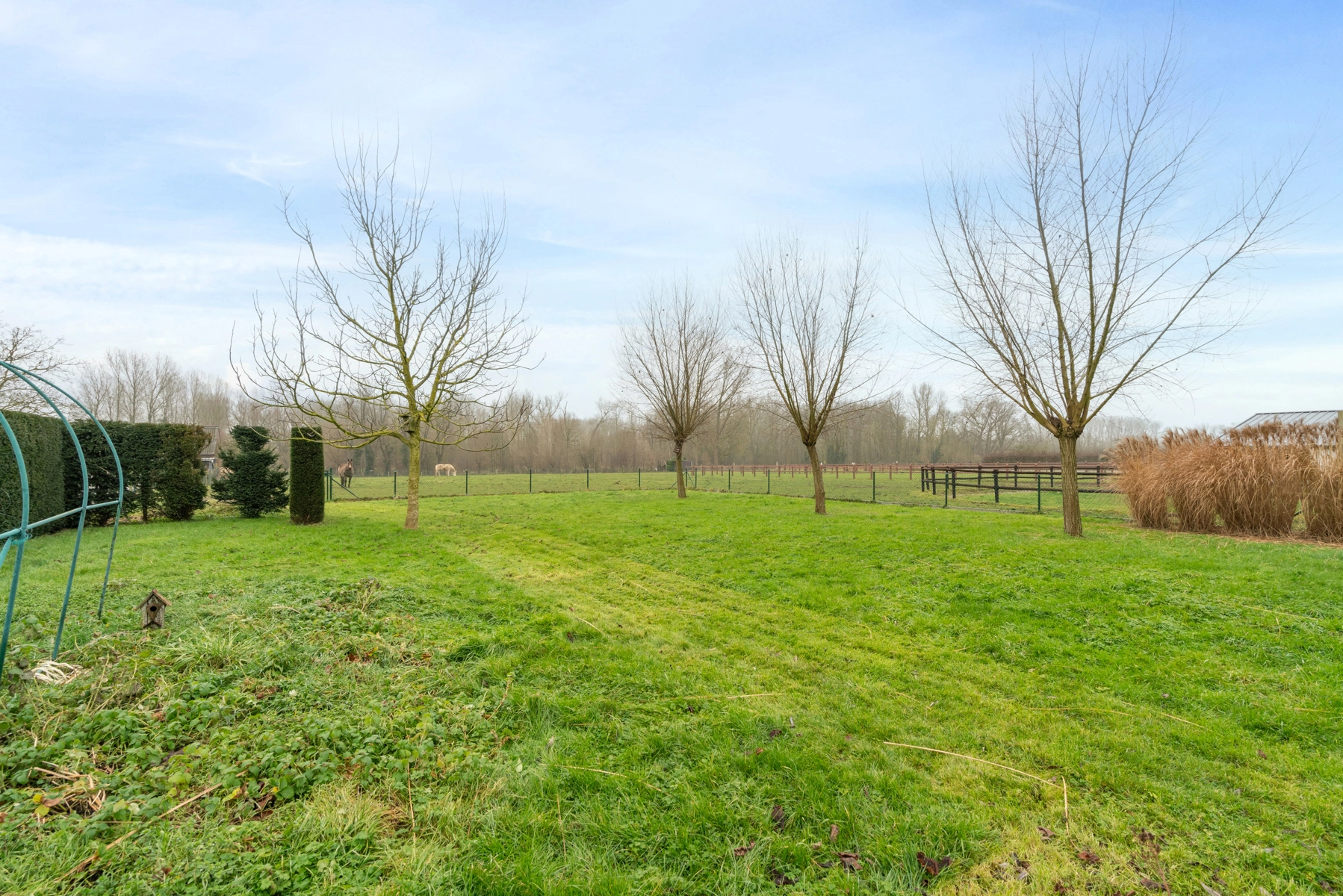 9f64940082ce4d4ebceaa6297e16045e photo