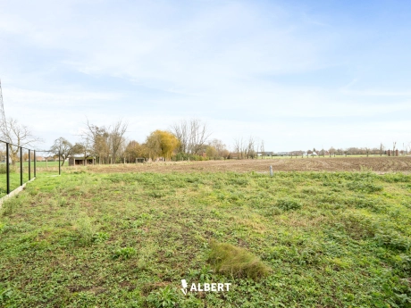 41e75a16c80145899515e24583d89aa2 thumbnail