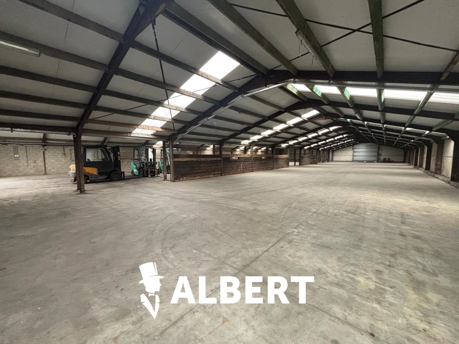 6fd0a8ed26384419ab9402080e868ba6 photo