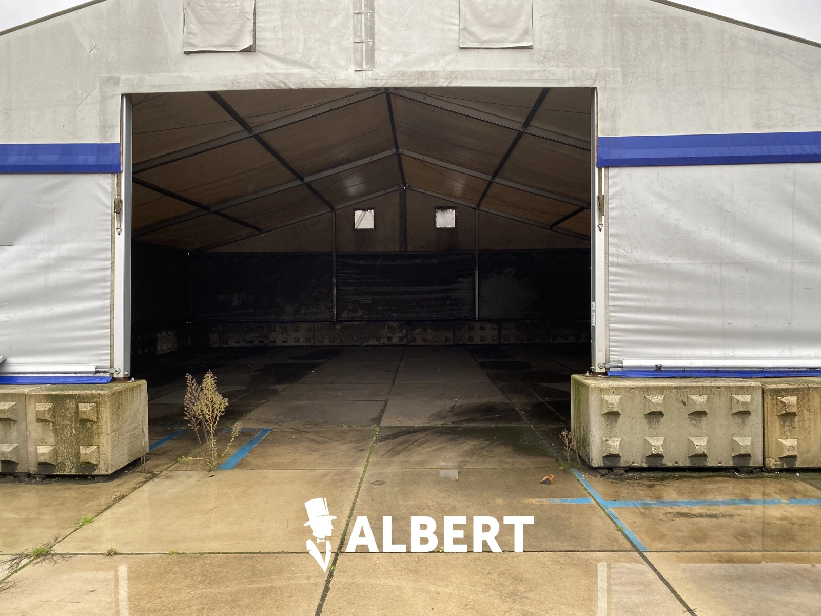 fe5d2755ae2d4598ad0261389b037787 photo