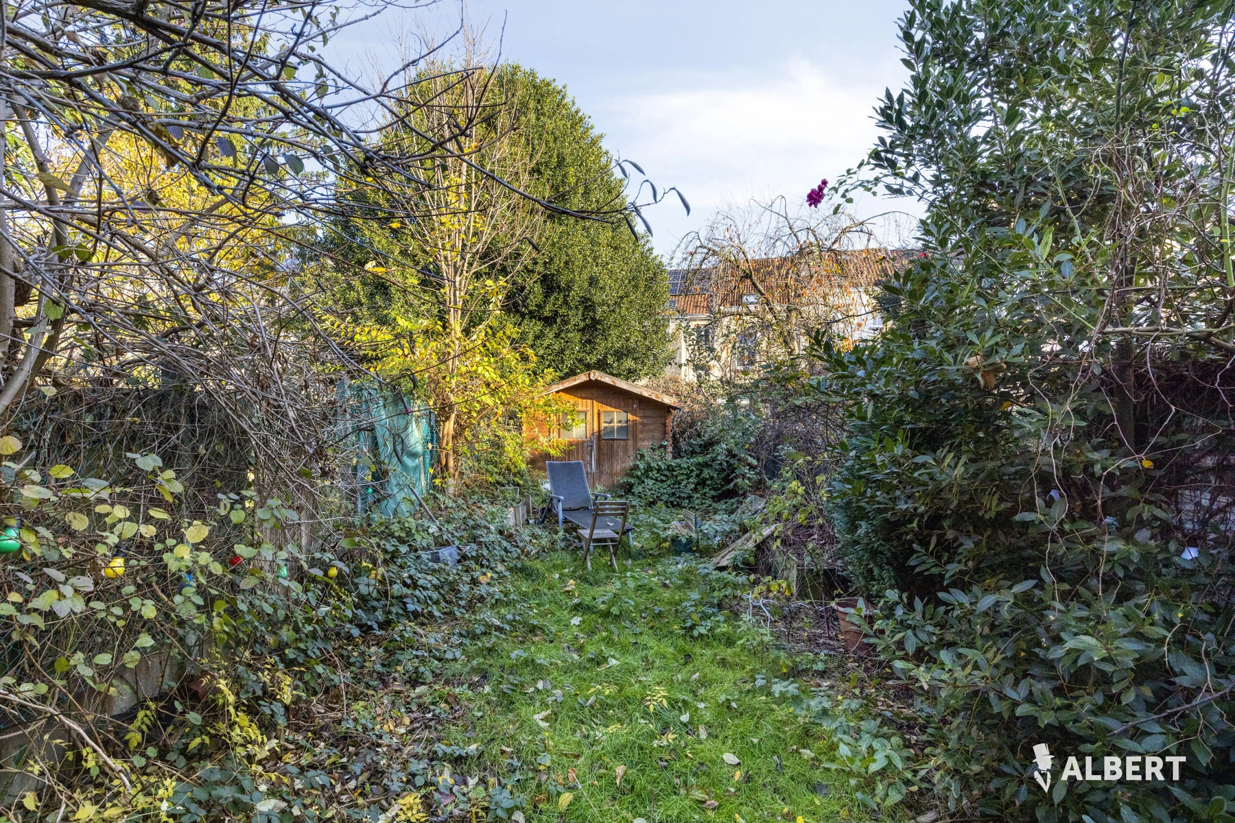 d804fdc530ef4a0aa4c3aa12d0d2f67b photo