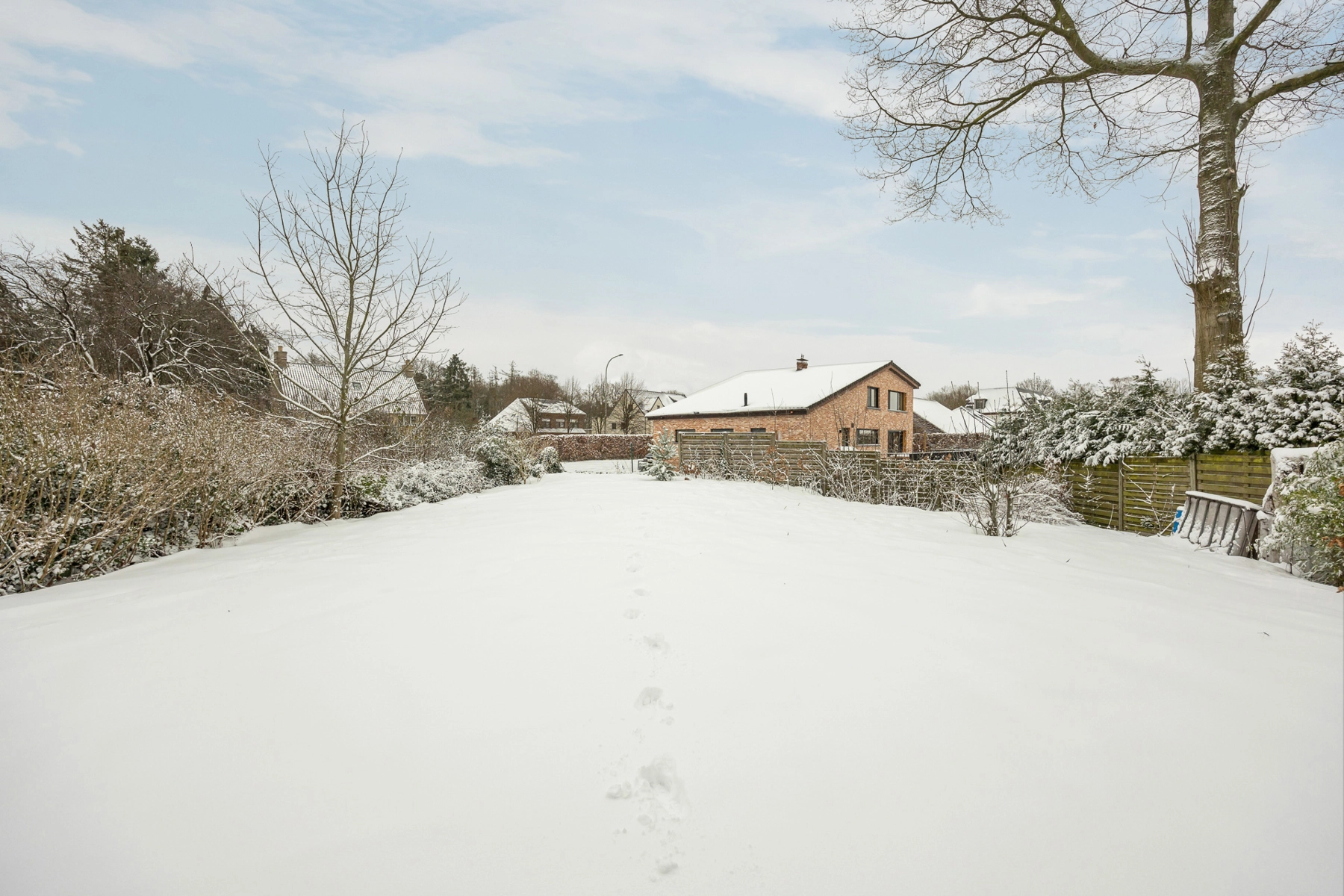 d8ebb0c3e3b044d6a4668bf17797cead photo