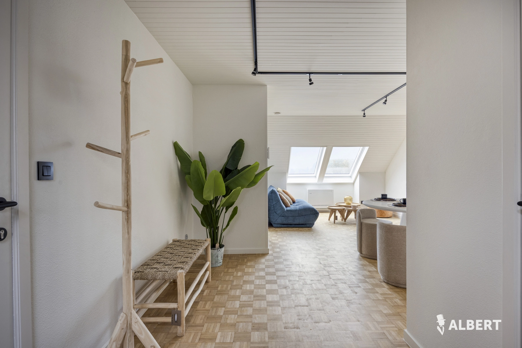 2ea21ede20ca4e3b9bca94df2efc5a4b photo