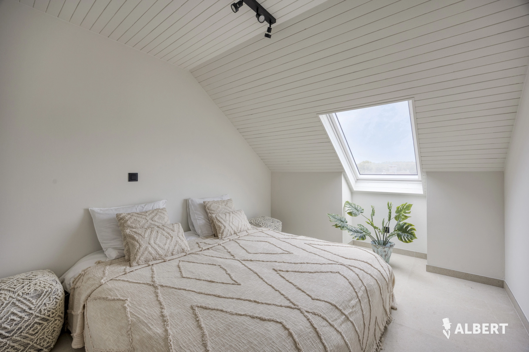 41f3dde788604d89b9b9c3c289429980 photo