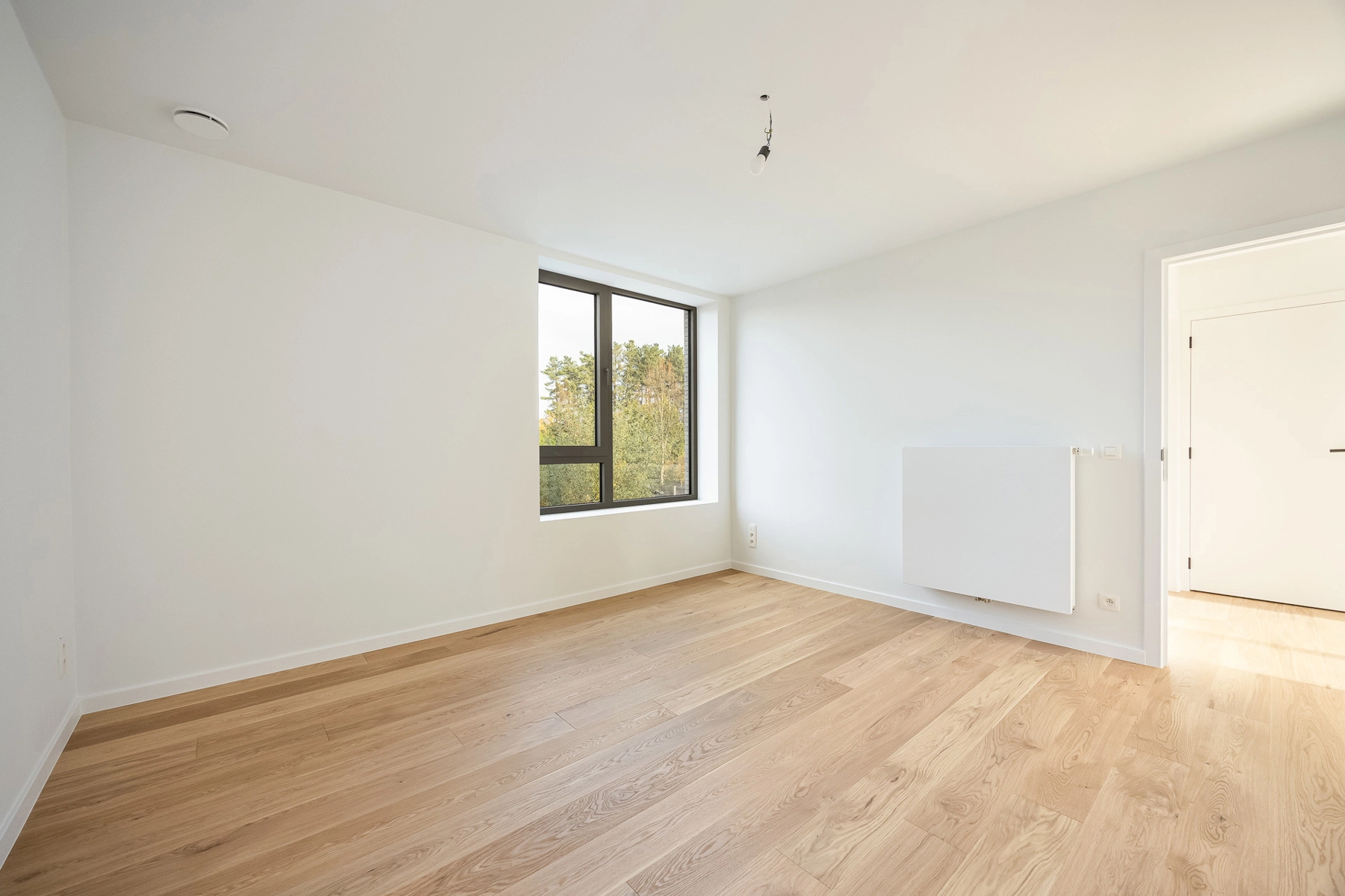 e1df747ab45a4921accd517cd7d3463d photo