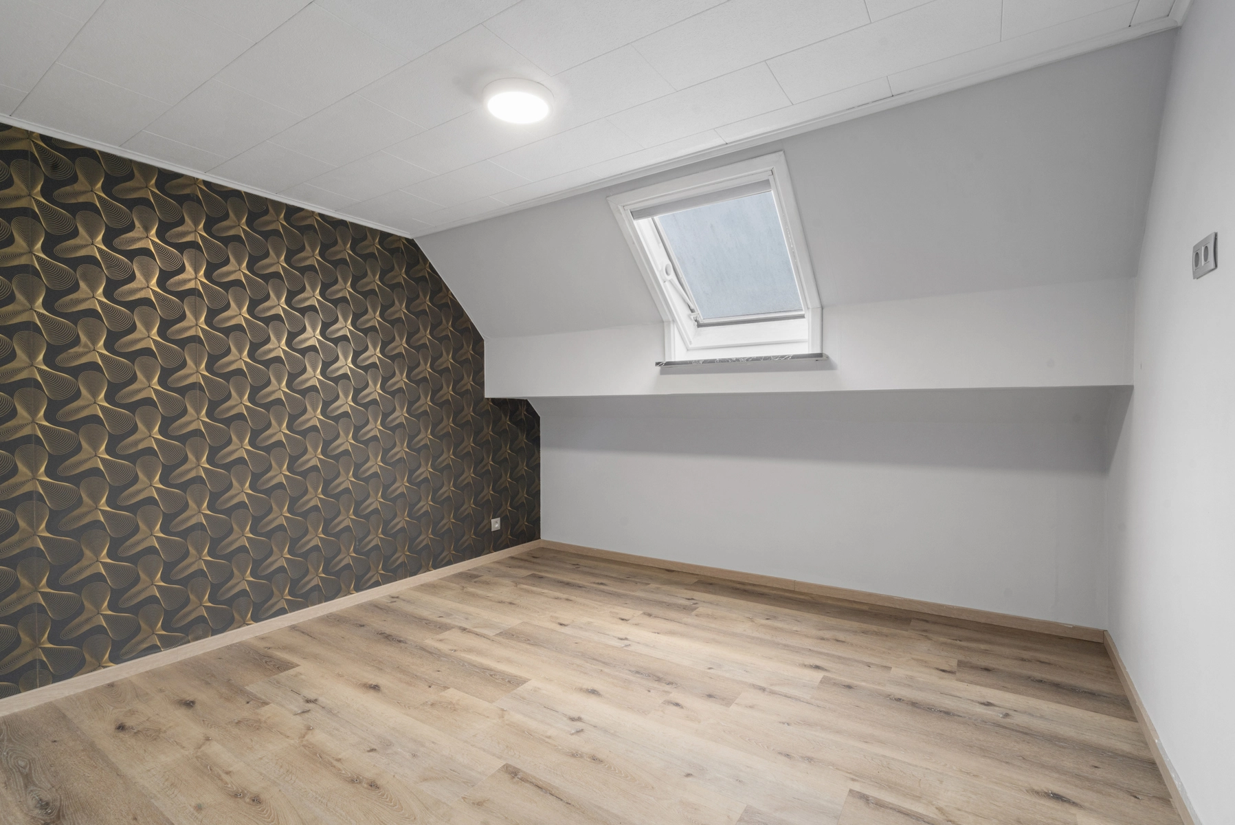 44d0d1a947874cf1a3df1aa3b3d4e21a photo