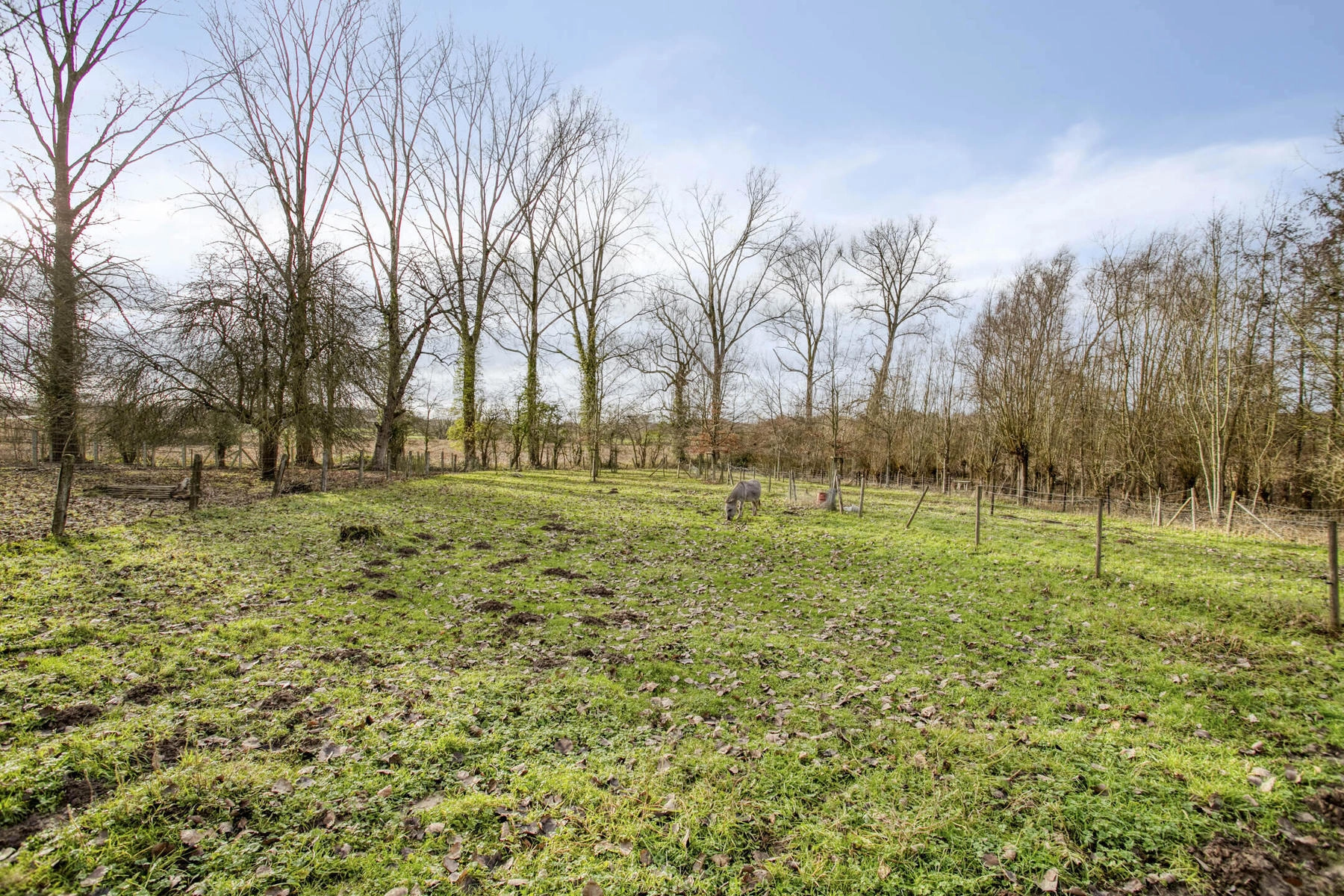 0804e4f9947b4a3cae2b374951fa27f6 photo