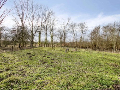 0804e4f9947b4a3cae2b374951fa27f6 thumbnail