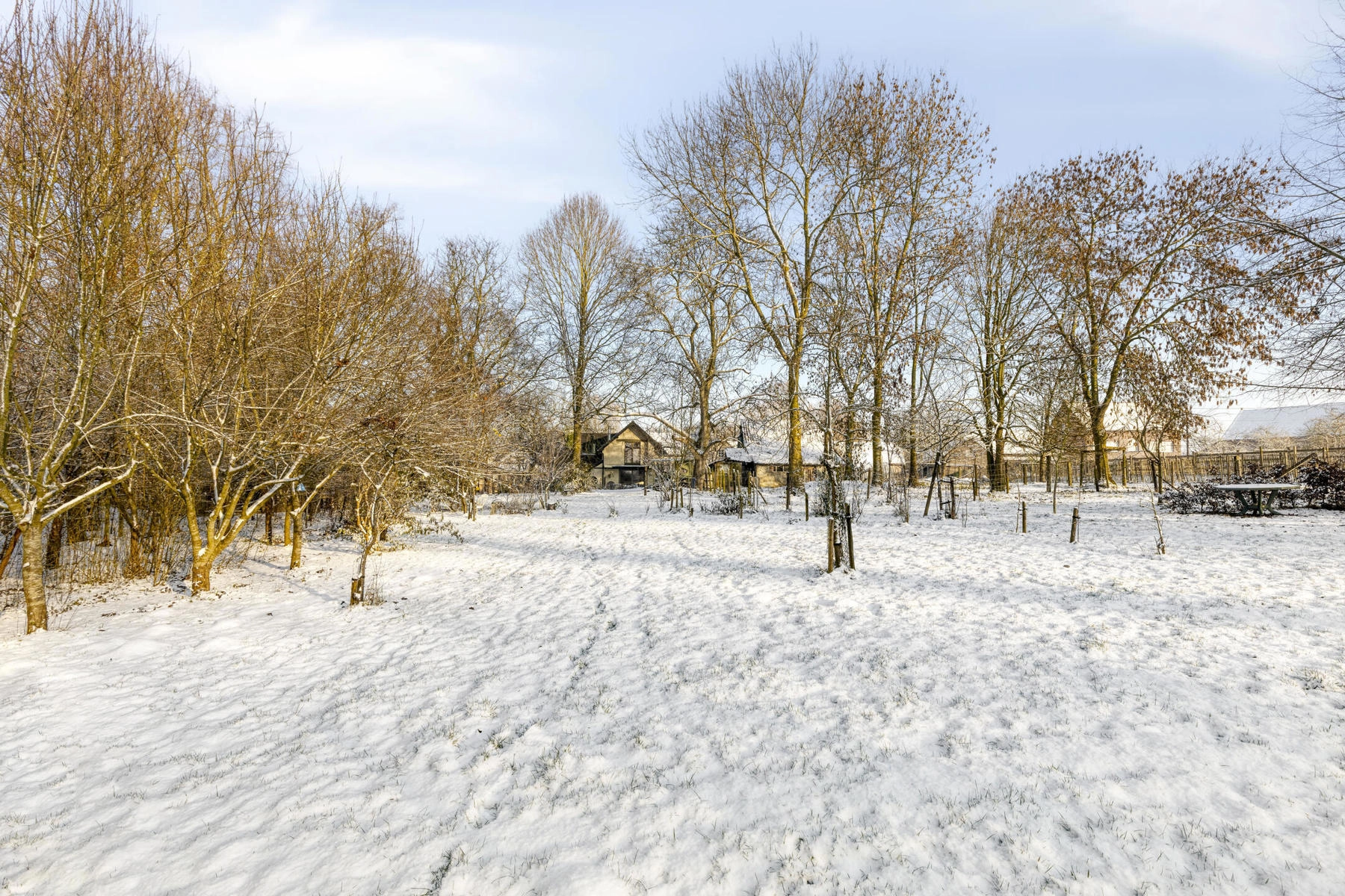 35ae9cbe88c04c5eb2801210cbcd0b91 photo