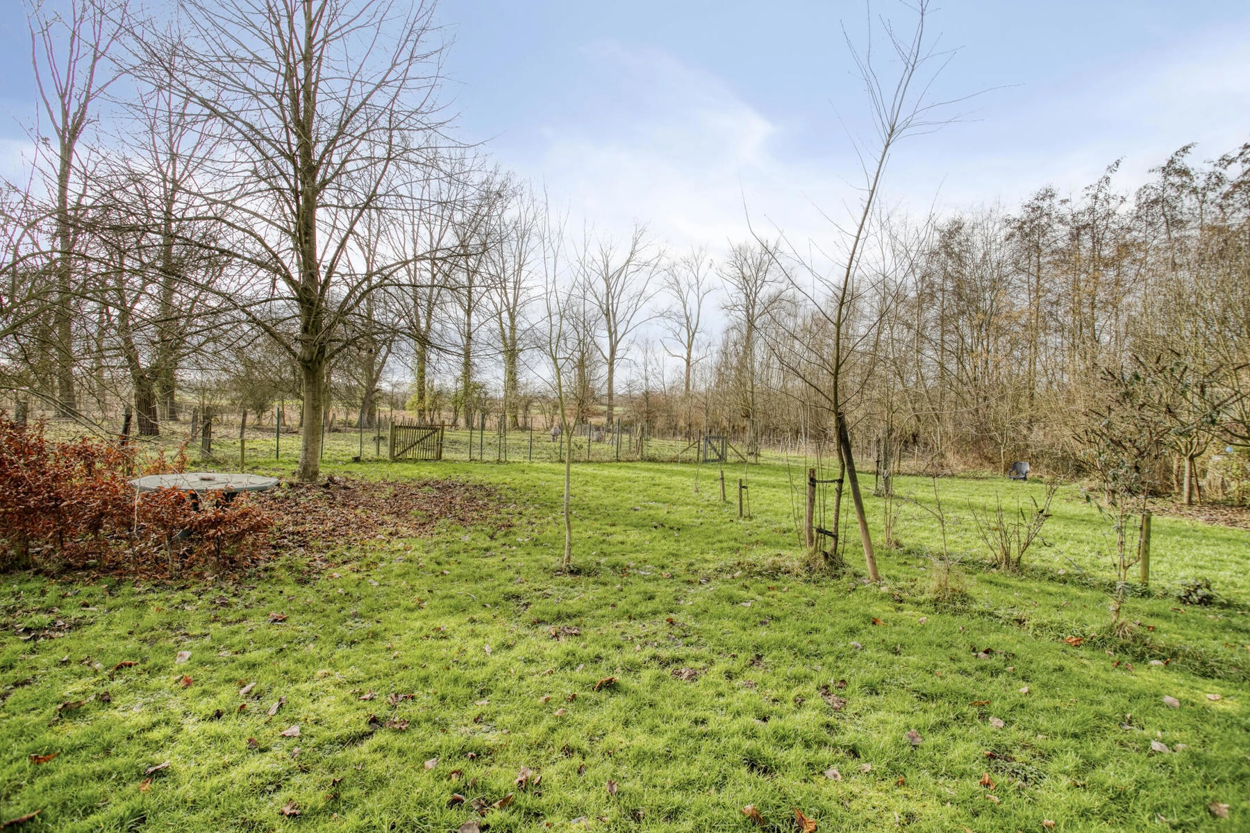 5d2c399d2d7e455980dbe56258012951 photo