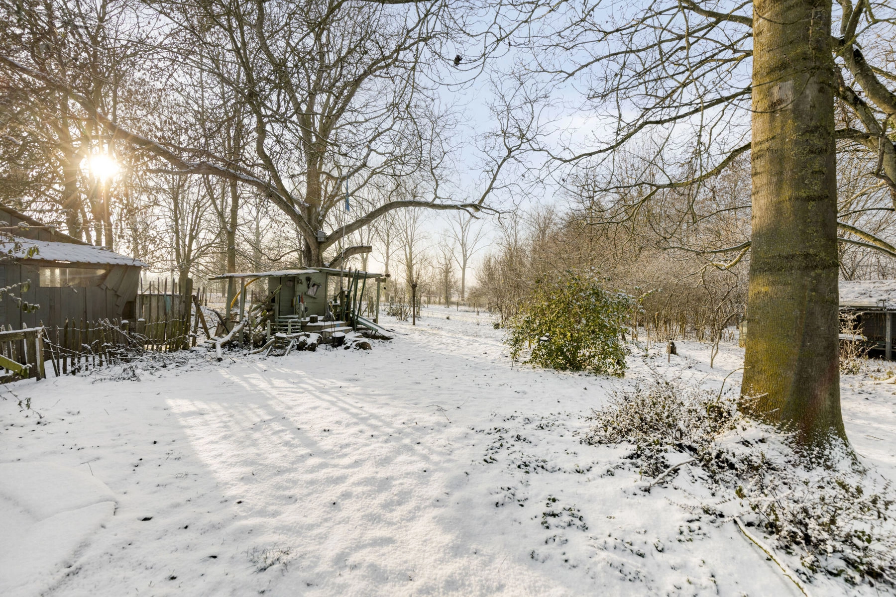 60c6ffc894a4462aa37cec9e536957f1 photo