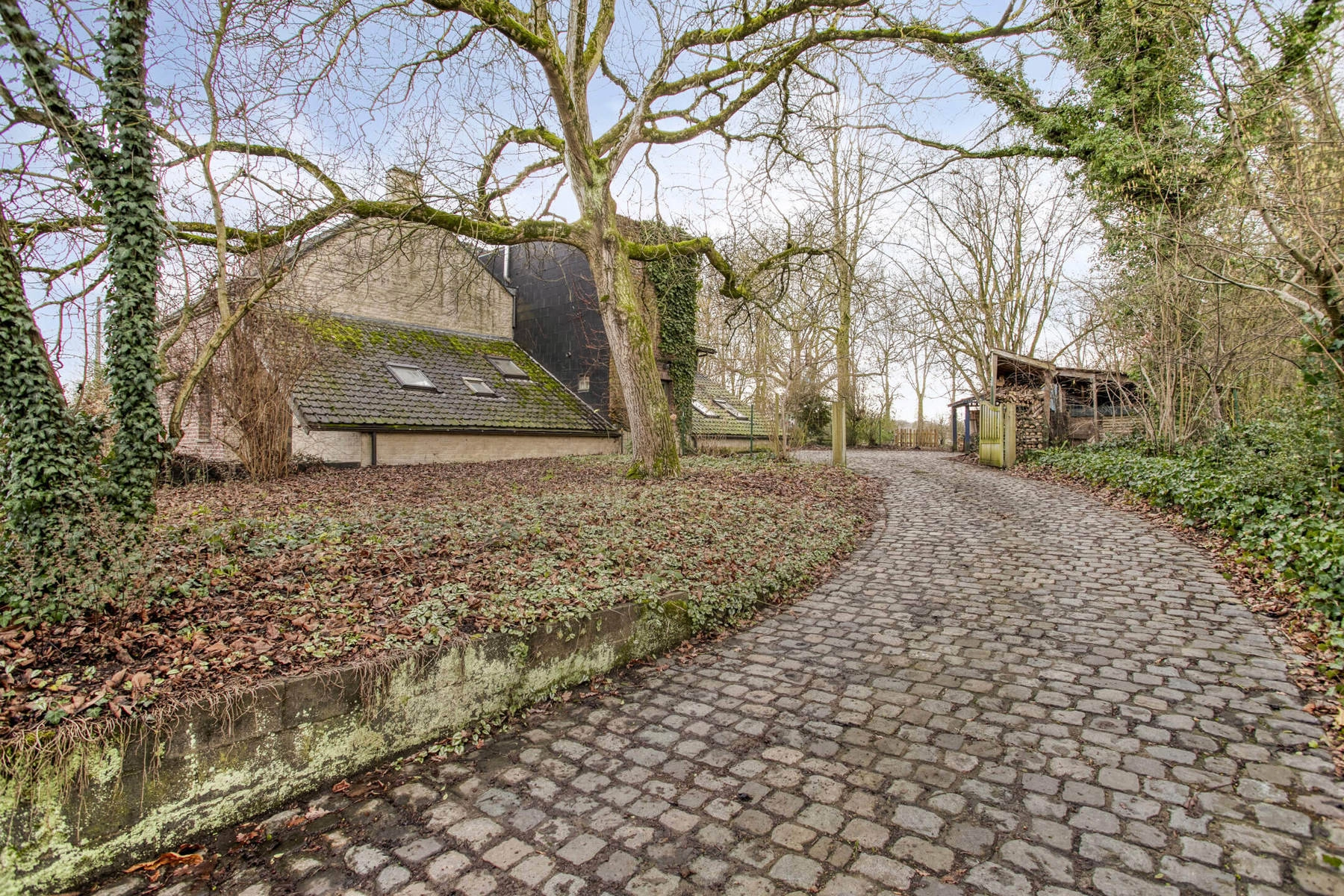 a21d20e9e1244cec951530efde207785 photo