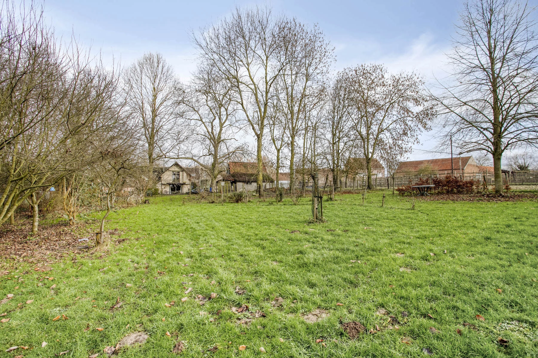 cb1bb3ad48ac4872bd1aaa15438ca091 photo