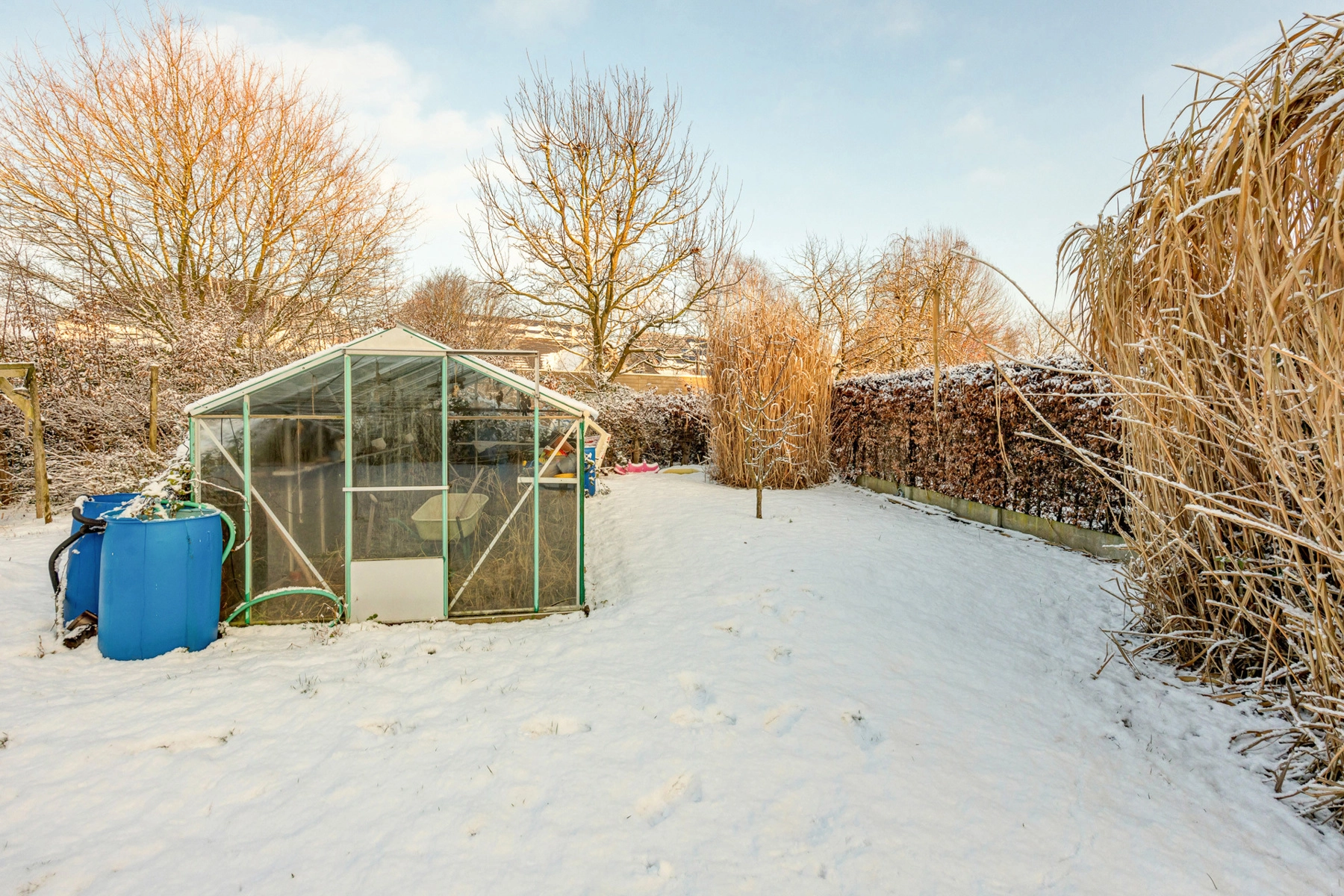 e3adfa4432284fe0a1b51748b01a5d7f photo