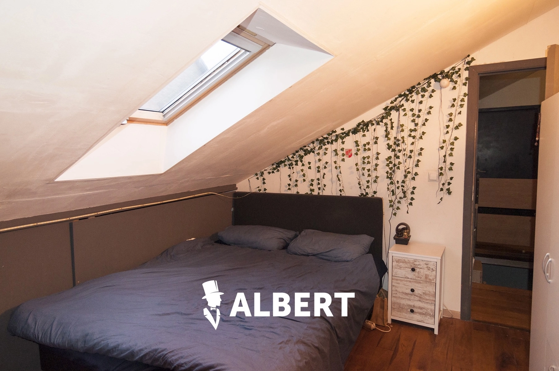 af5a65d1958b4c9a85315a2d6532a955 photo