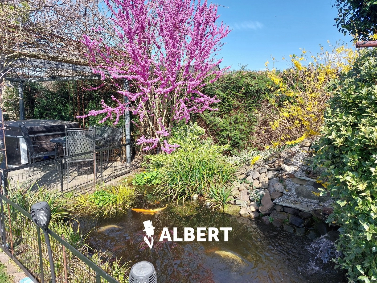 c9ae9a4cf90a4906b577aa4db5990f22 photo