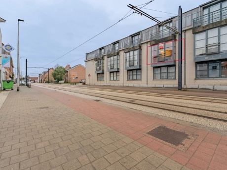 property 7321307 cover photo