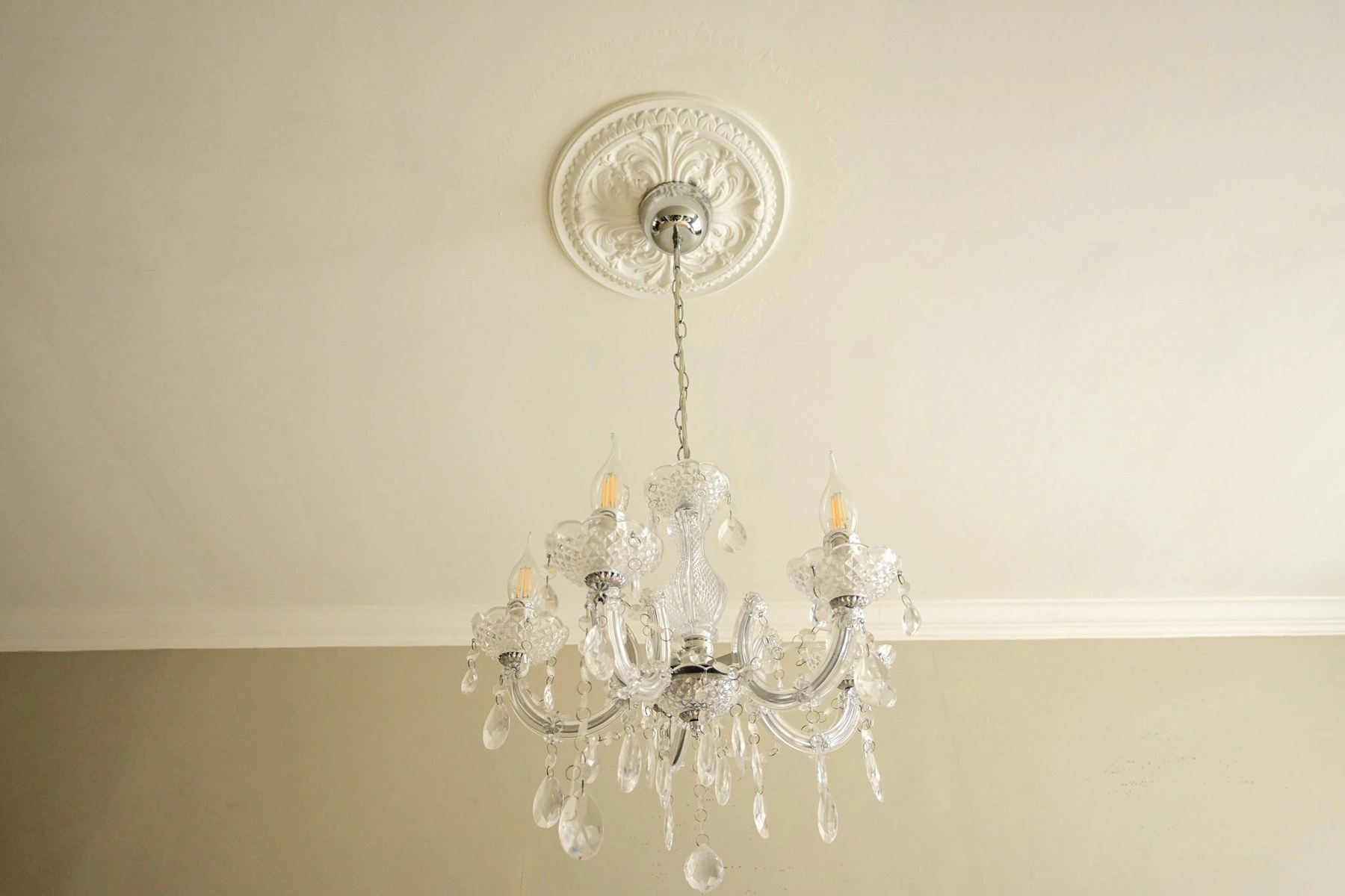 440dc5c3a3f74b6d96799c3e5c65b91c photo