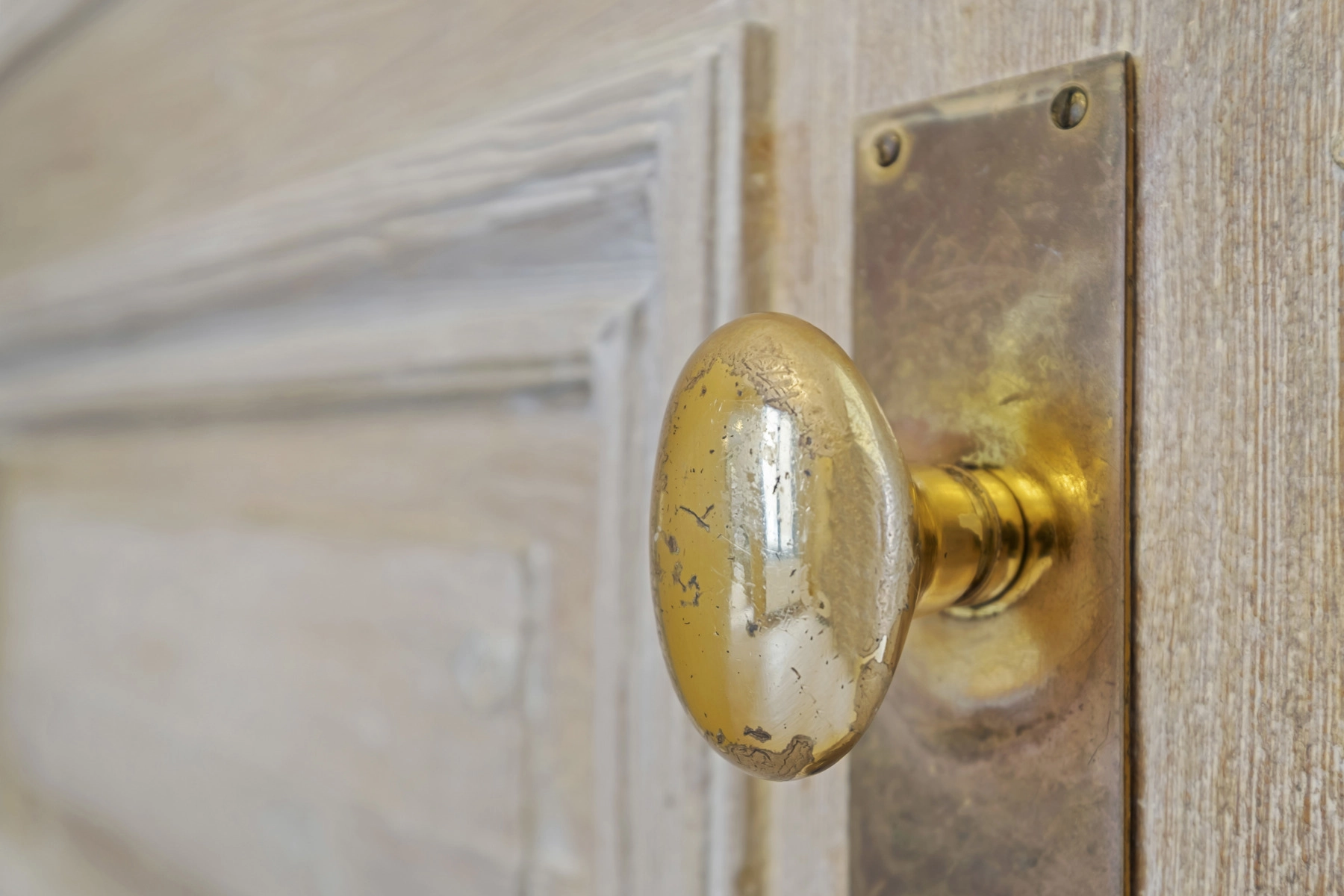 feb96a95aff547e0988ad7a18b06b650 photo