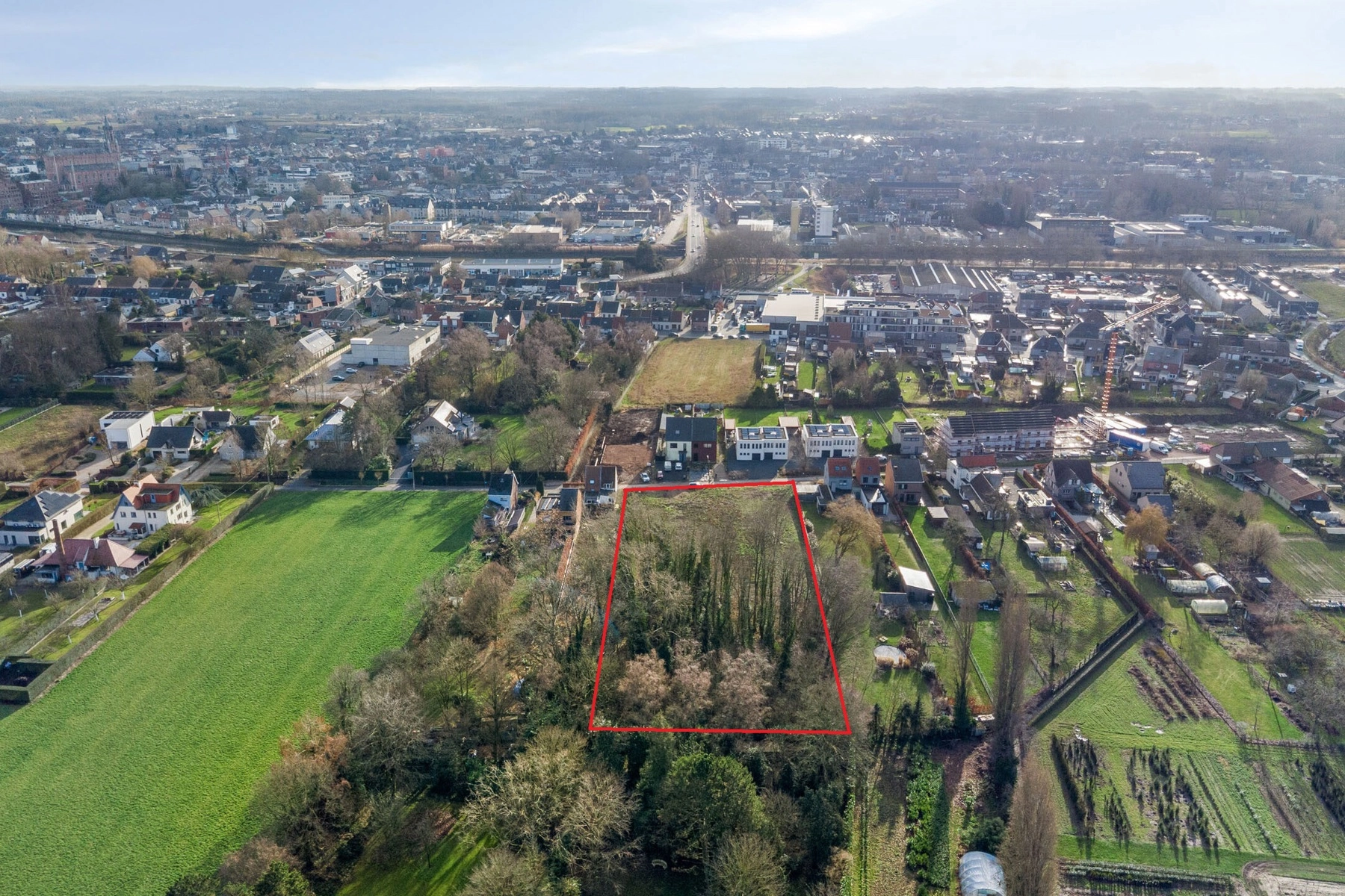 2a162fffd32945908ba5f9ff712b7499 photo