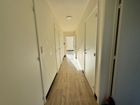 6200ff1e6efc40768a1c789df43fe65f thumbnail