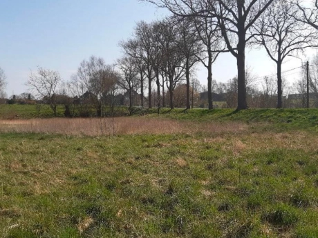 41ba558db85e4487872b73928e8142bf thumbnail