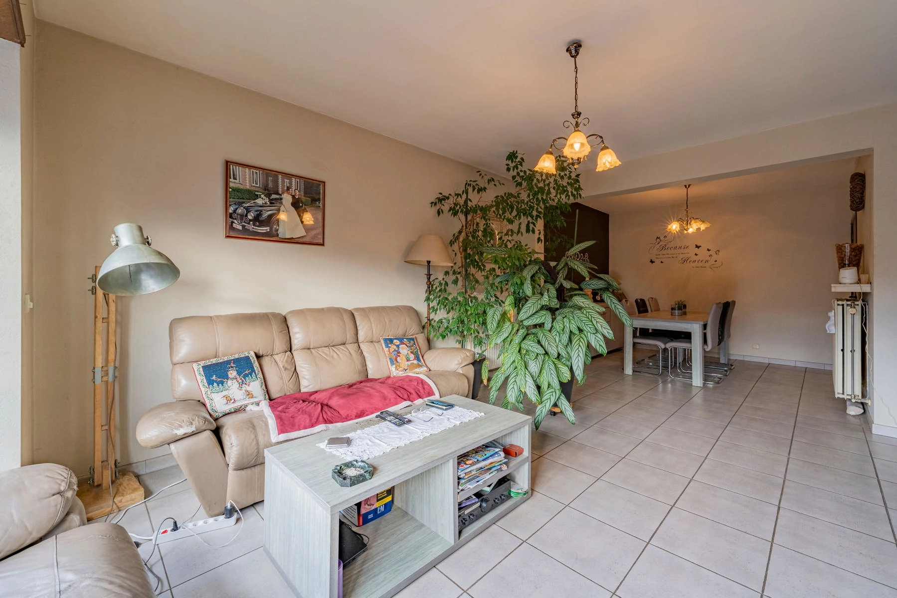 ffae58206aa34e2284cdf911a316731e photo